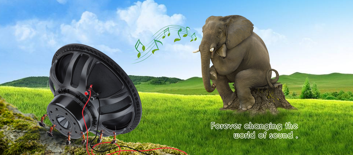 Hiwell Speaker