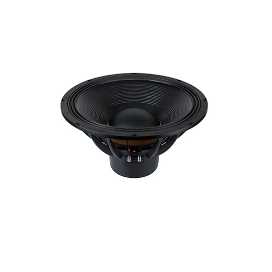 21NDS151U1   Subwoofers  21 inchs