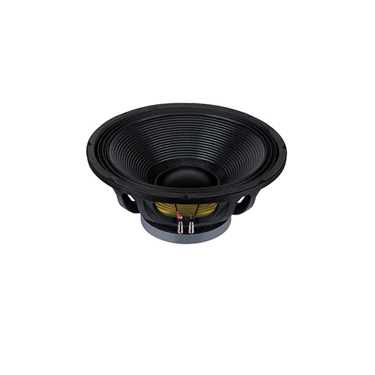 18FWS100Q1  Subwoofers  18 inchs