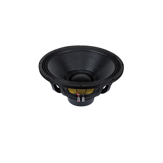 18NDS100U1  Subwoofers  18 inchs