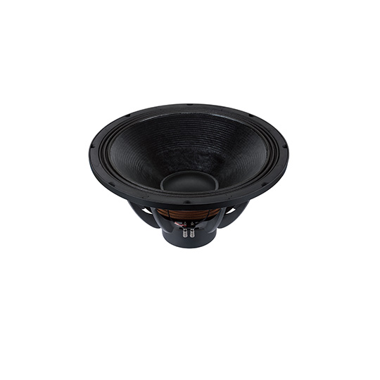  21NDS125U1  Subwoofers  21 inchs