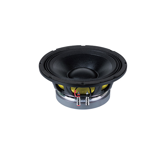 10FW65V1   LF  Drivers   10 inchs