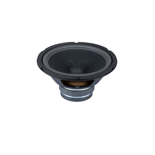 10FK50P1    KTV Speakers  10 inches