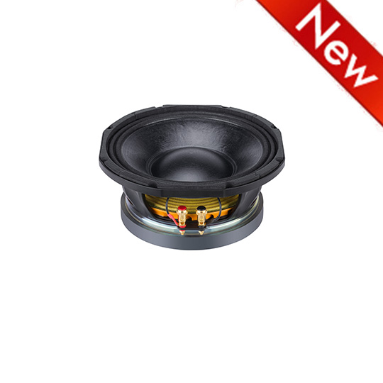 10FW100V1   Line Array Speakers  10 inches