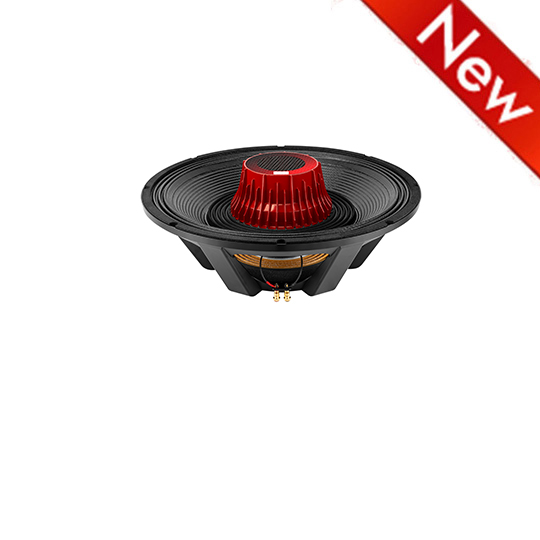 21NDS151GK1 Subwoofers  21 inchs